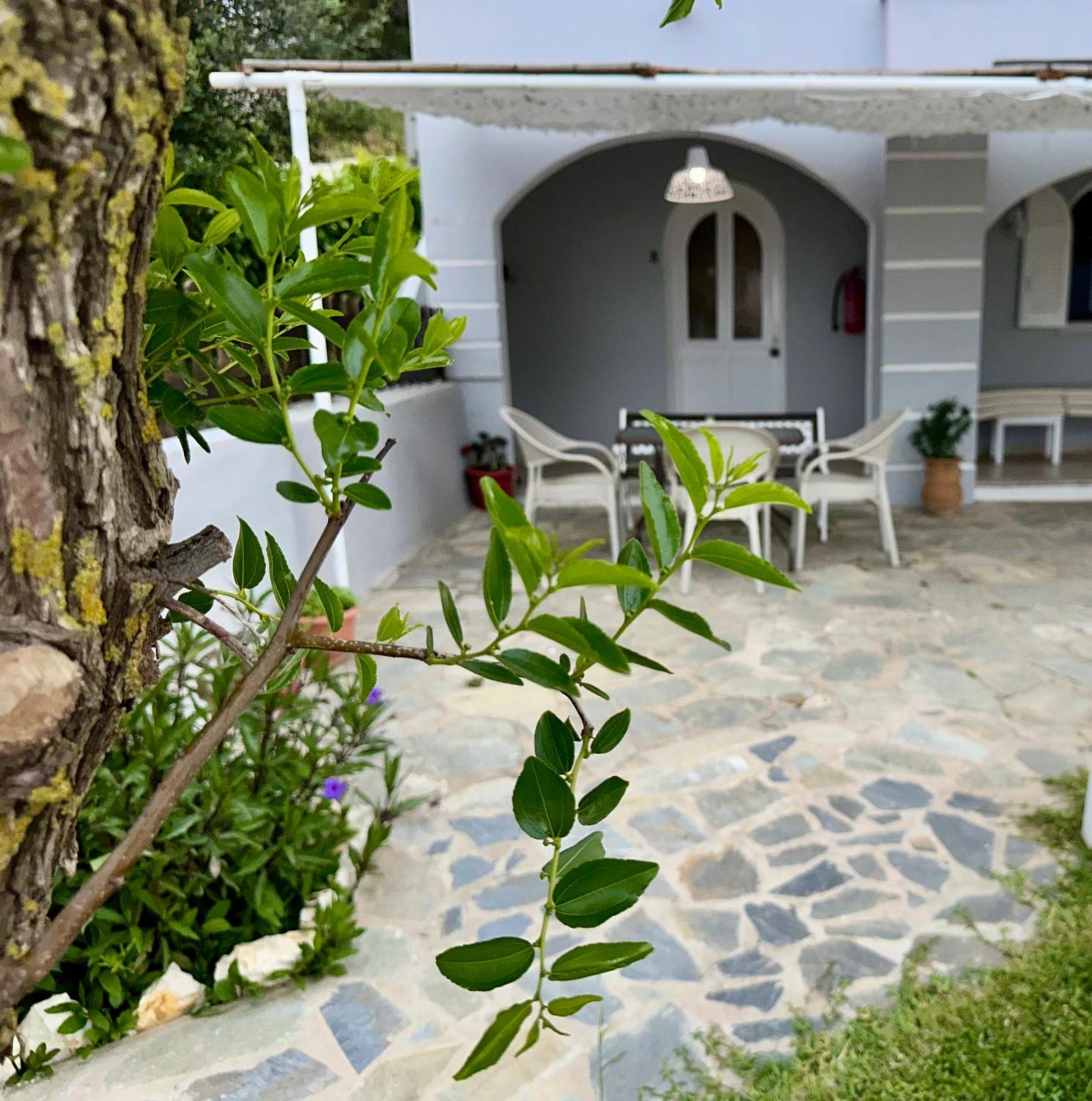 Eleana Apartments And Studios Agios Georgios Pagon Exterior photo